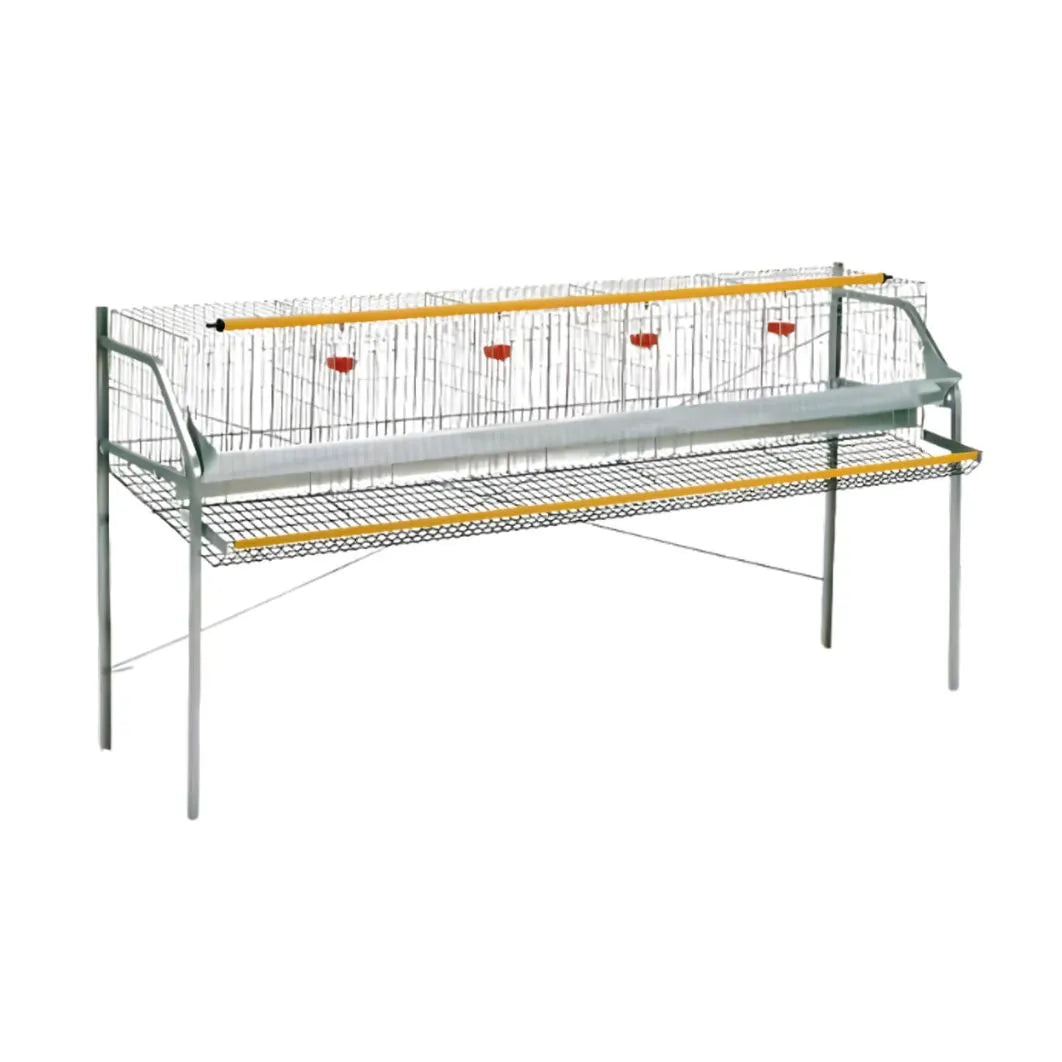 Gabbia a 1 piano per Galline Ovaiole - cm 200