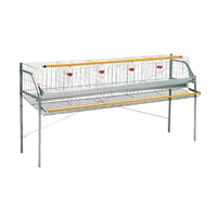 Gabbia a 1 piano per Galline Ovaiole - cm 200