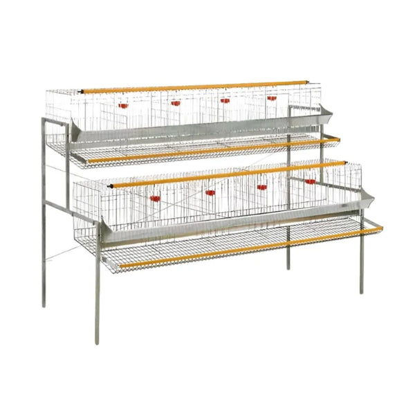 Gabbia a 2 piani per Galline Ovaiole - cm 200